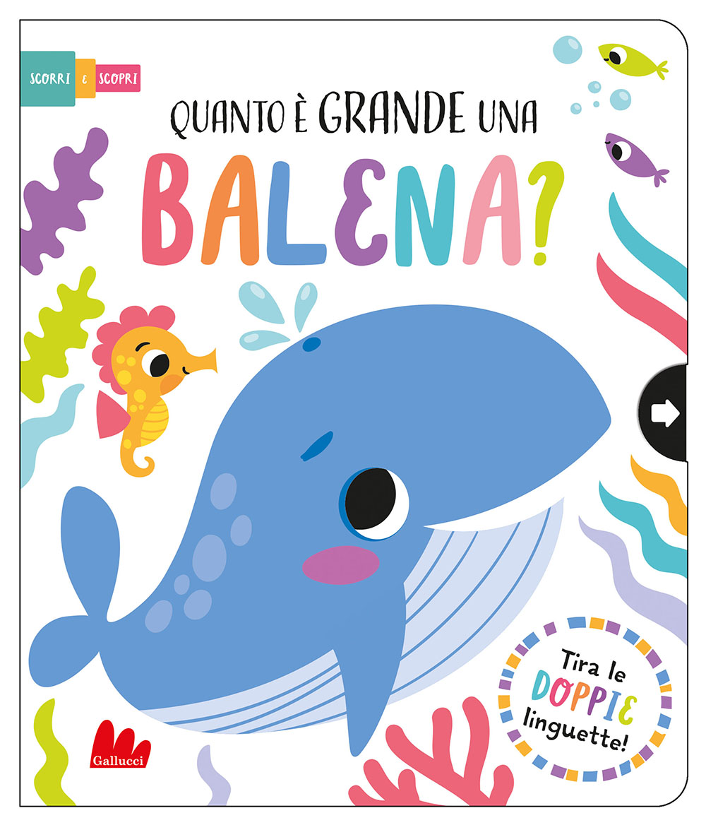 Quanto è grande una balena? • Gallucci Editore